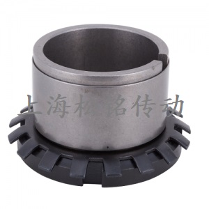 Z19型脹緊連接套-